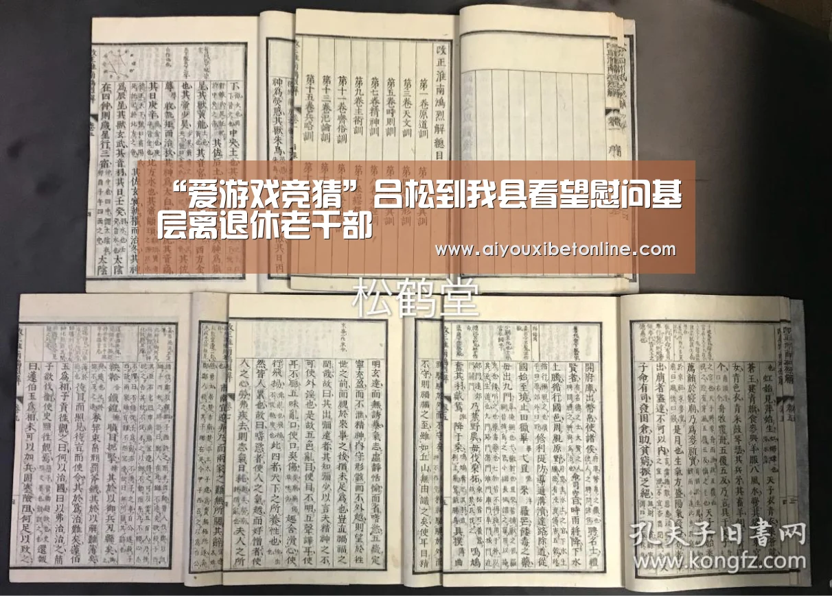 爱游戏视讯