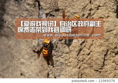 爱游戏竞猜