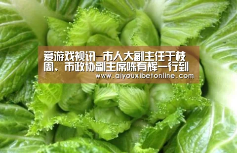 爱游戏视讯-市人大副主任于枝周、市政协副主席陈有辉一行到公安镇开展春节慰问部队官兵活动(图3) 爱游戏竞猜