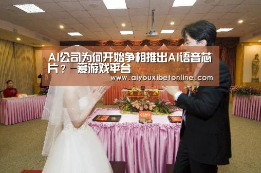 AI公司为何开始争相推出AI语音芯片?-爱游戏平台(图3) 爱游戏视讯