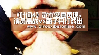 《叶问4》武术盛宴再现,演员高战vs甄子丹打戏出彩“爱游戏视讯”(图2) 爱游戏平台