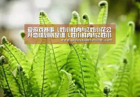 爱游戏赛事_L姓小鲜肉与Z姓小花公开恋情到底是谁 L姓小鲜肉与Z姓小花猜(图3) 爱游戏赛事