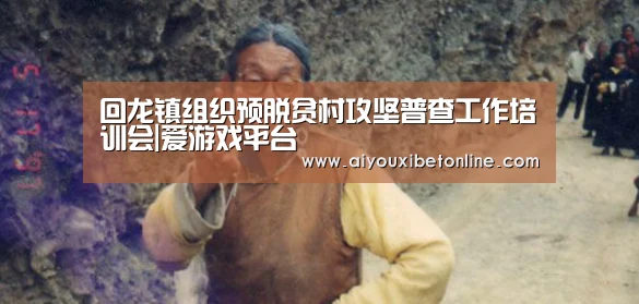 回龙镇组织预脱贫村攻坚普查工作培训会|爱游戏平台(图2) 爱游戏赛事