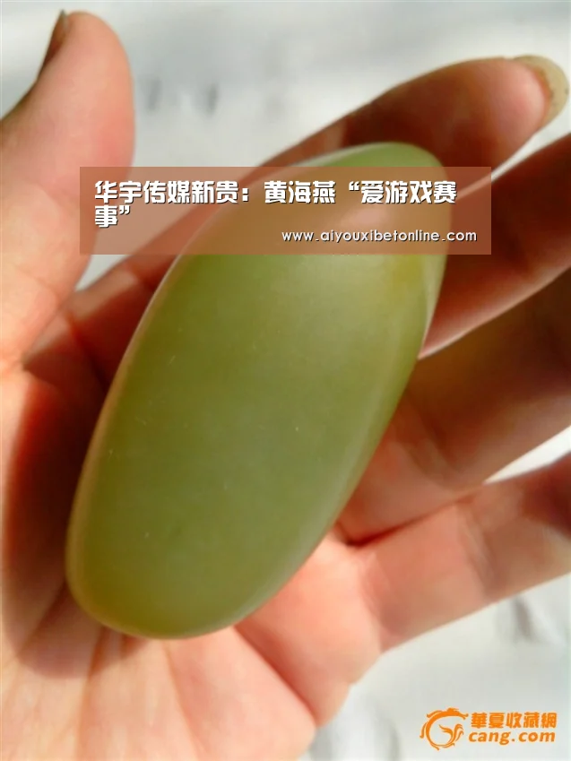 华宇传媒新贵:黄海燕“爱游戏赛事”(图2) 爱游戏竞猜