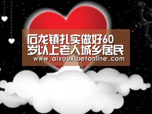石龙镇扎实做好60岁以上老人城乡居民养老保险生存认证工作【爱游戏视讯】(图1) 爱游戏赛事