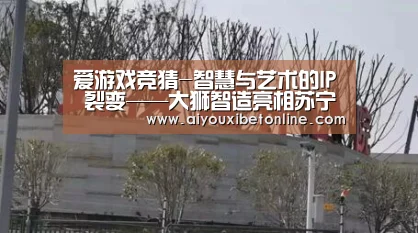 爱游戏视讯