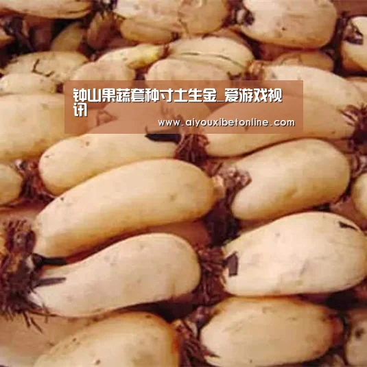 钟山果蔬套种寸土生金_爱游戏视讯(图1) 爱游戏竞猜