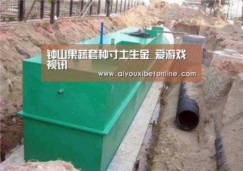 钟山果蔬套种寸土生金_爱游戏视讯(图4) 爱游戏赛事