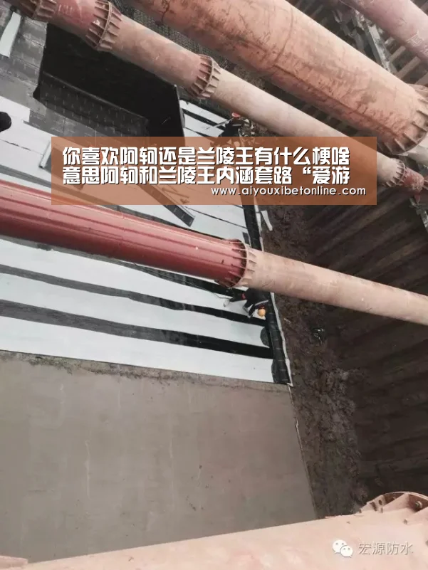 你喜欢阿轲还是兰陵王有什么梗啥意思阿轲和兰陵王内涵套路“爱游戏赛事”(图2) 爱游戏竞猜