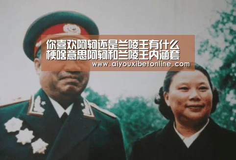 你喜欢阿轲还是兰陵王有什么梗啥意思阿轲和兰陵王内涵套路“爱游戏赛事”(图3) 爱游戏赛事