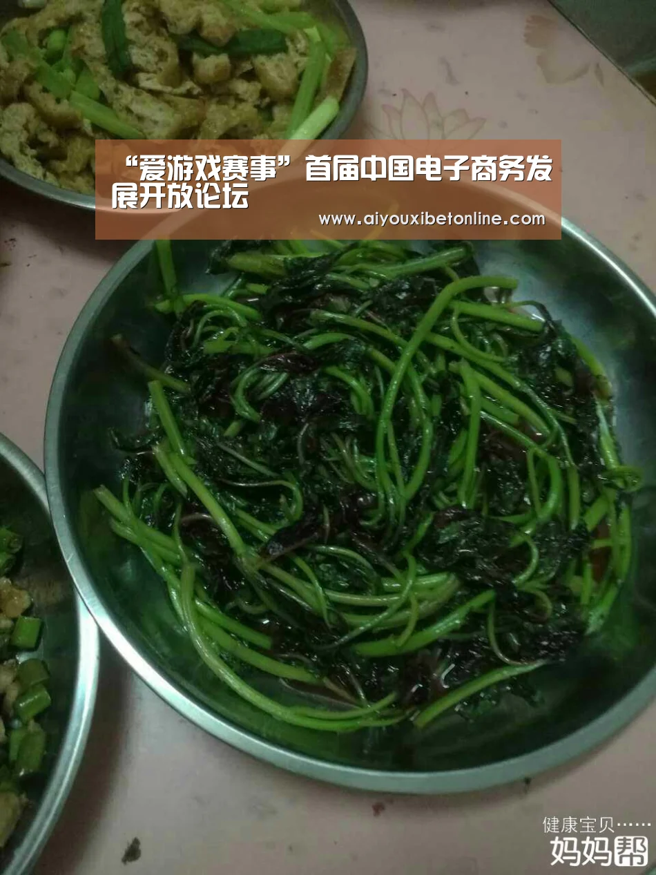 “爱游戏赛事”首届中国电子商务发展开放论坛(图1) 爱游戏视讯