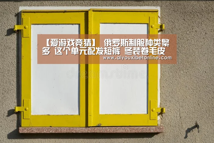【爱游戏竞猜】
俄罗斯制服种类繁多 这个单元配发短裤 冬装卷毛皮便帽很漂亮(图2) 爱游戏赛事